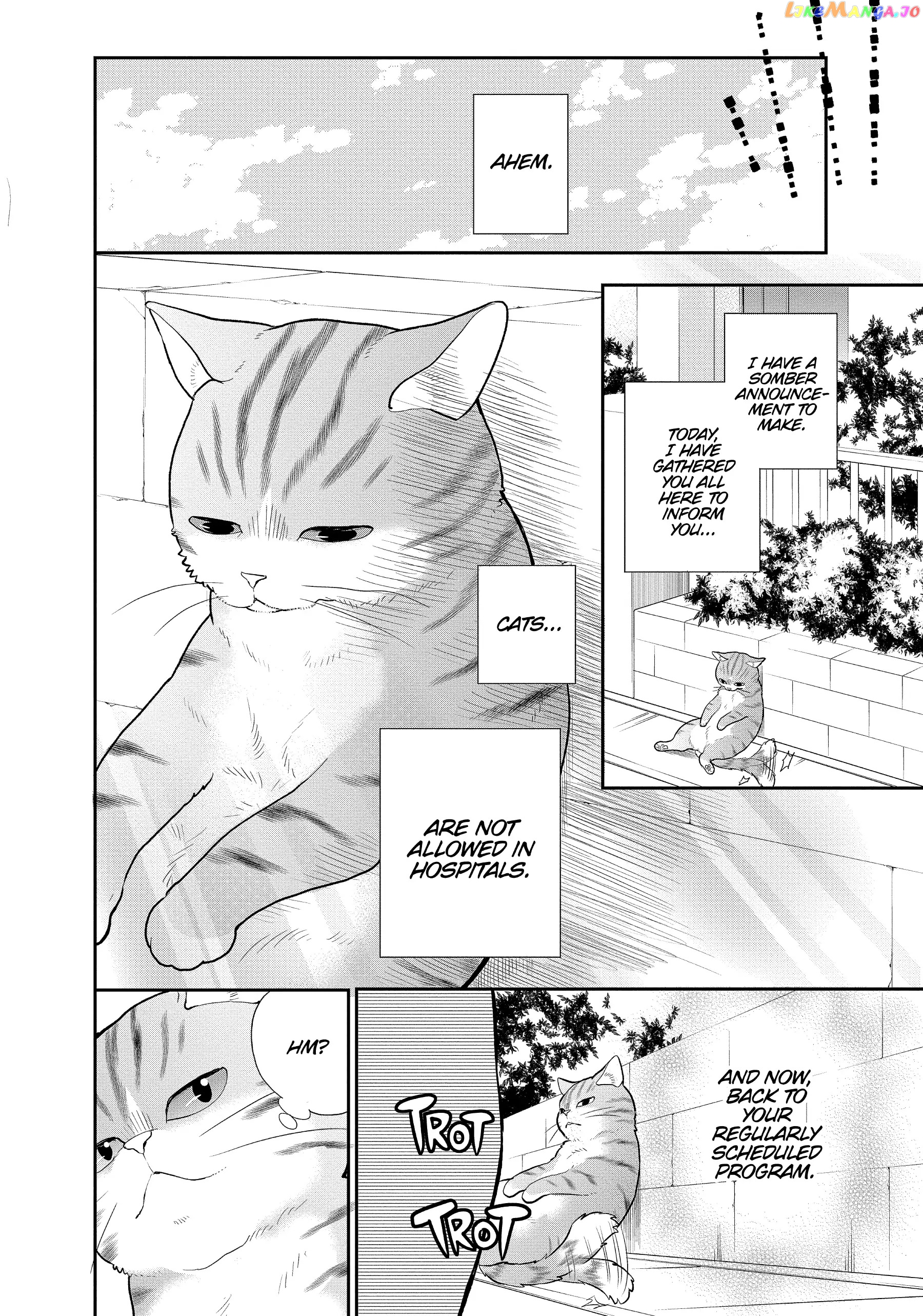 My New Life as a Cat Chapter 11 - page 11