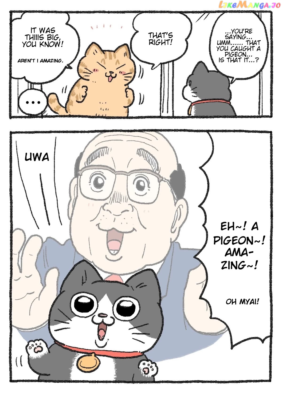 The Old Man Who Was Reincarnated As A Cat Chapter 252 - page 2