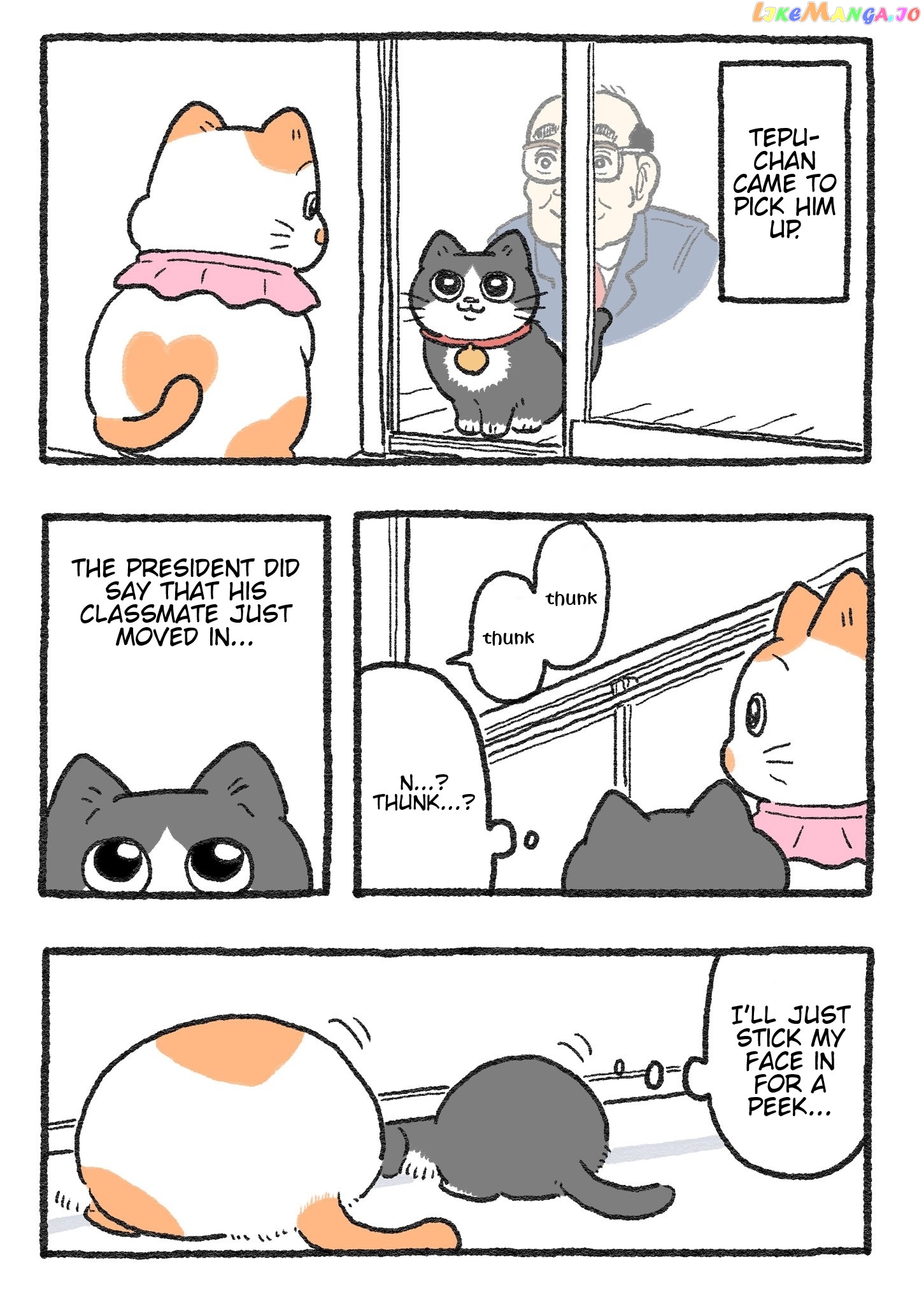 The Old Man Who Was Reincarnated As A Cat Chapter 257 - page 1