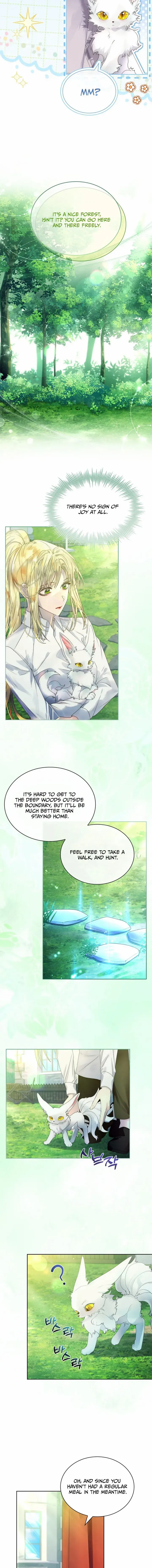 I Raised the Nine – Tailed Fox Wrongly Chapter 12 - page 2