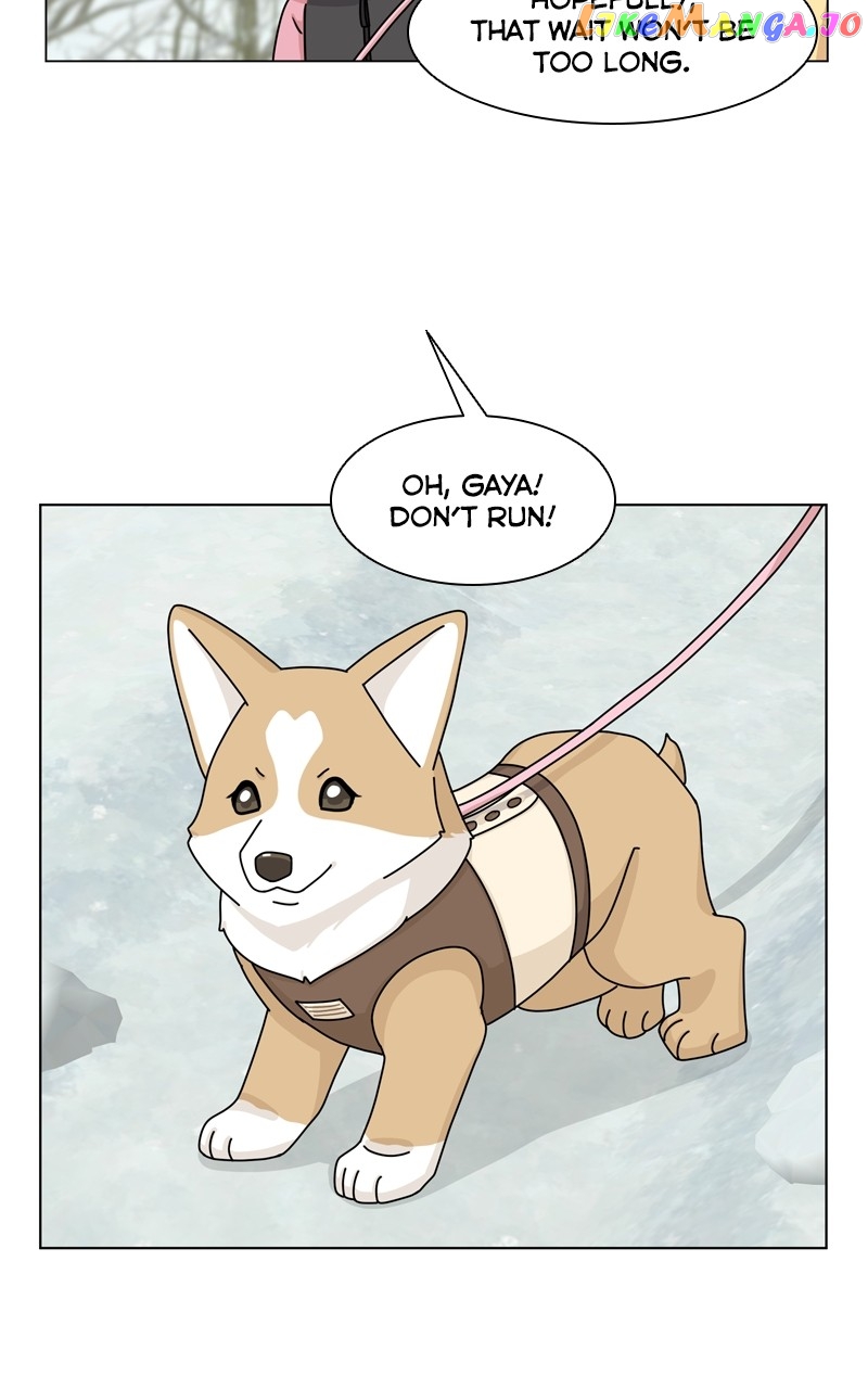 The Dog Diaries Chapter 135 - page 5