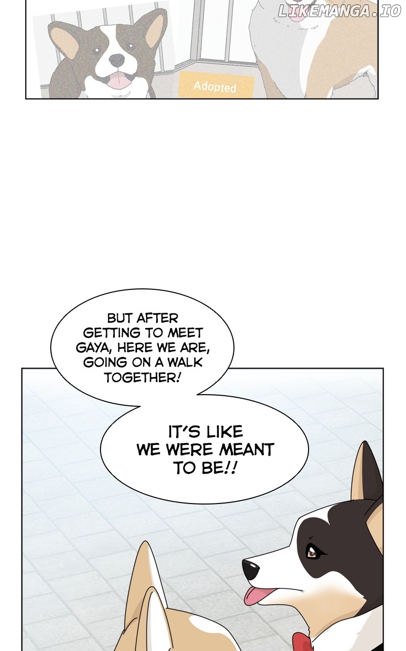 The Dog Diaries Chapter 137 - page 43