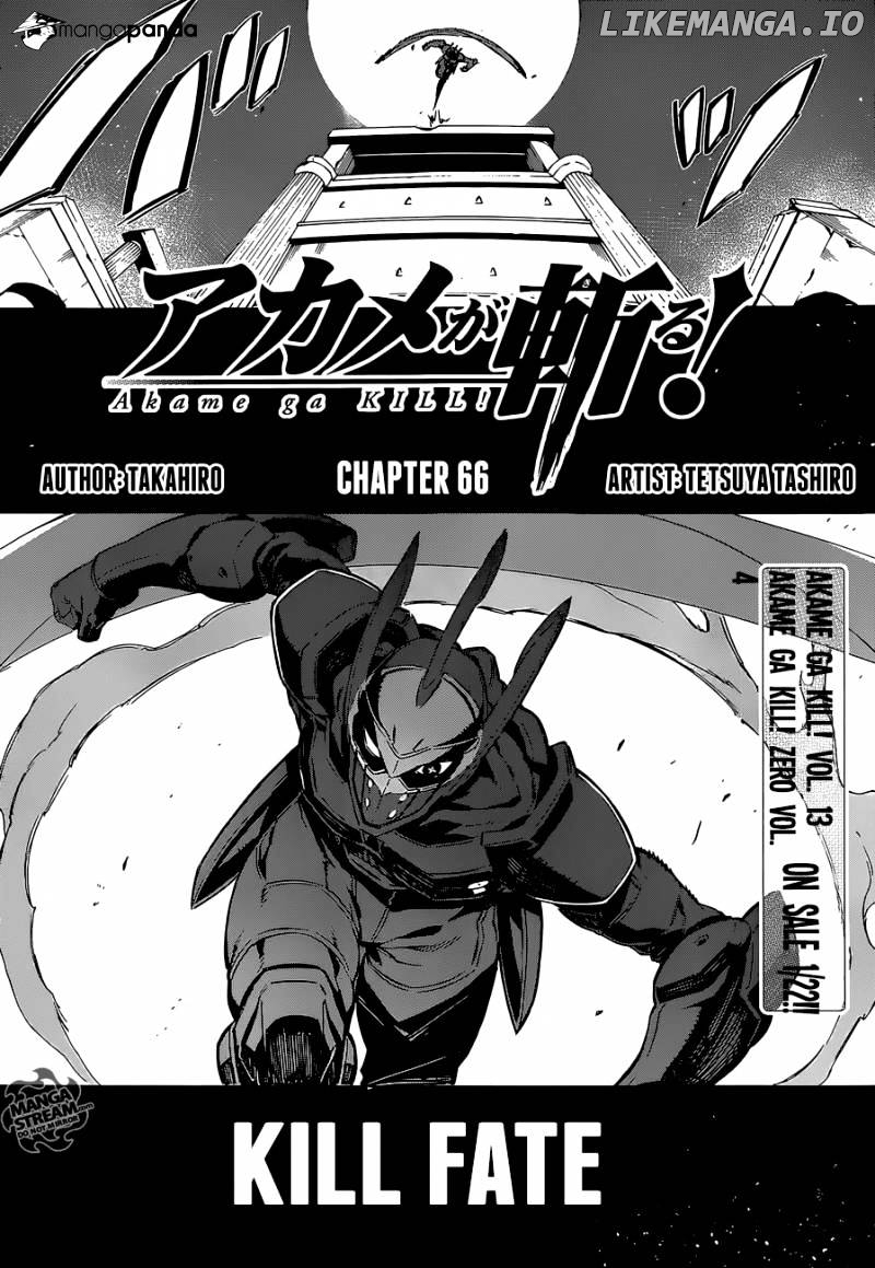 Akame ga Kill! chapter 66 - page 5