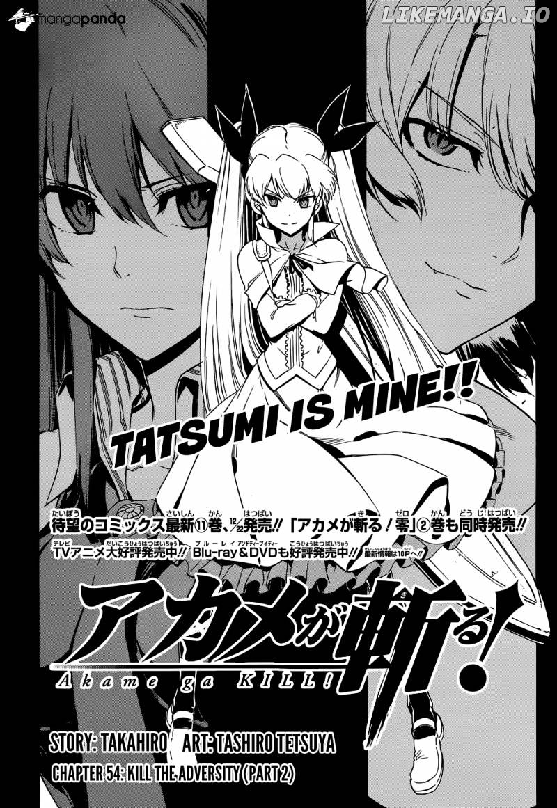 Akame ga Kill! chapter 54 - page 3