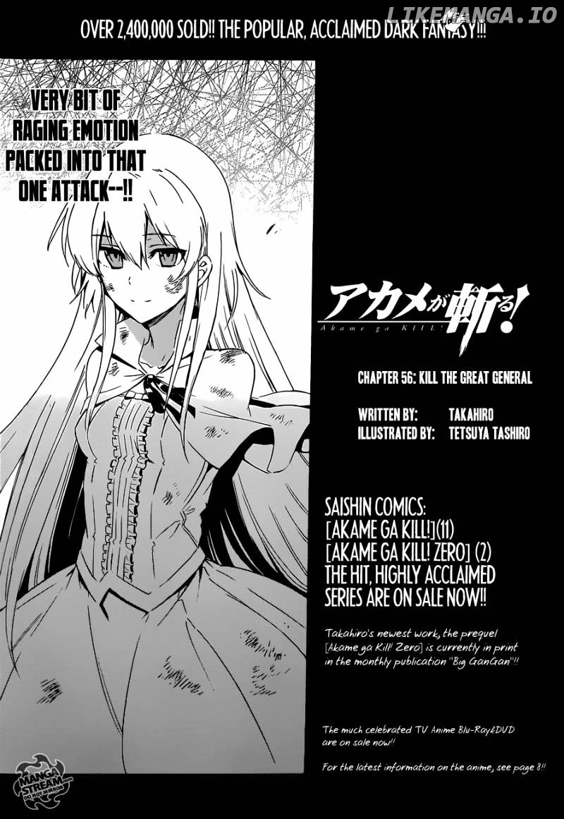 Akame ga Kill! chapter 56 - page 18