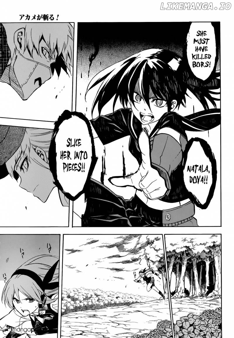 Akame ga Kill! chapter 33 - page 33