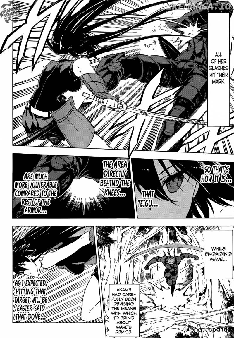 Akame ga Kill! chapter 62 - page 14