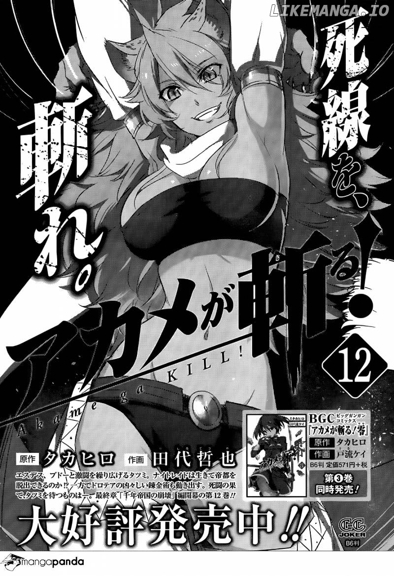 Akame ga Kill! chapter 62 - page 49