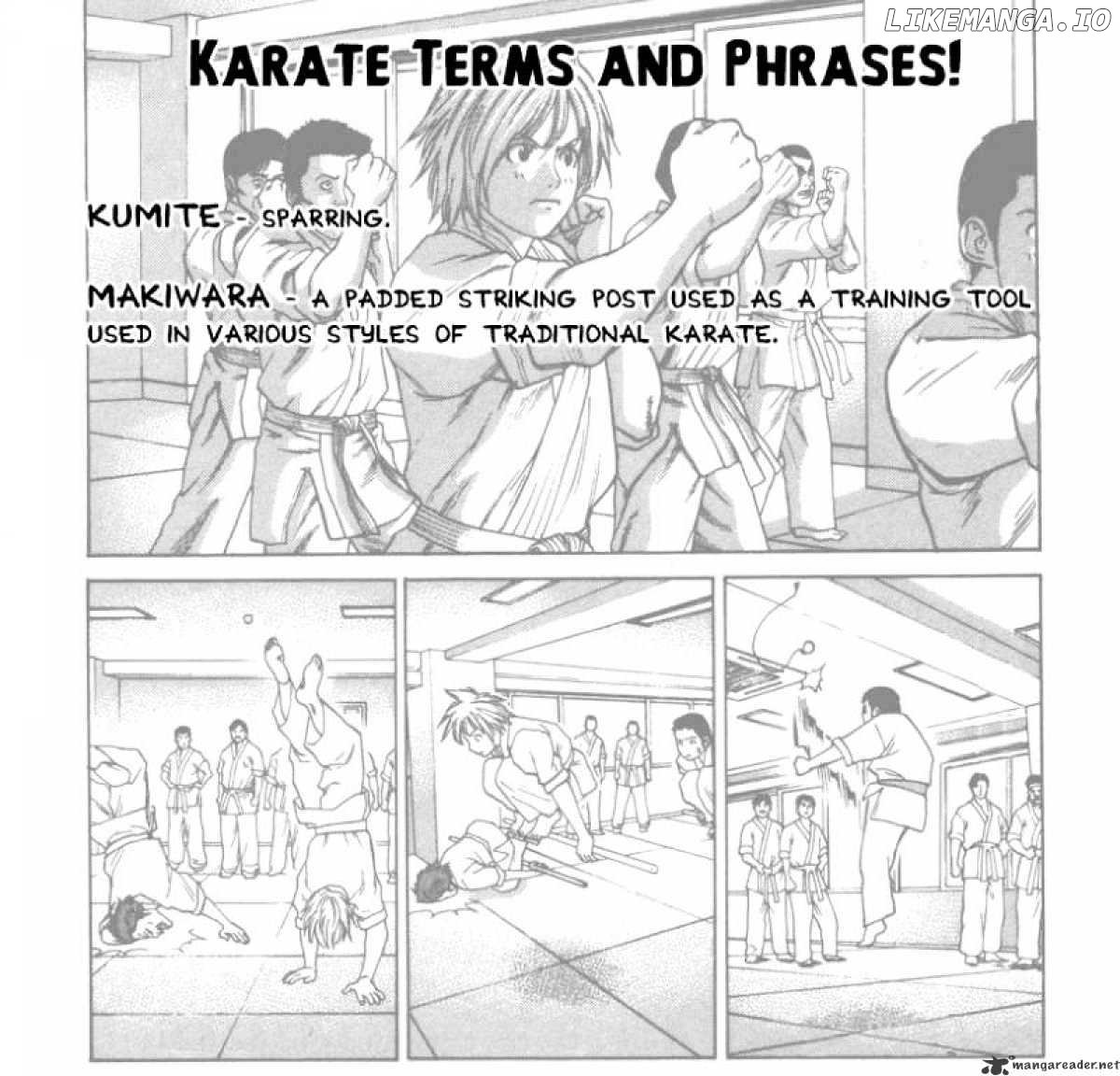 Karate Shoukoushi Kohinata Minoru Chapter 44 - page 1