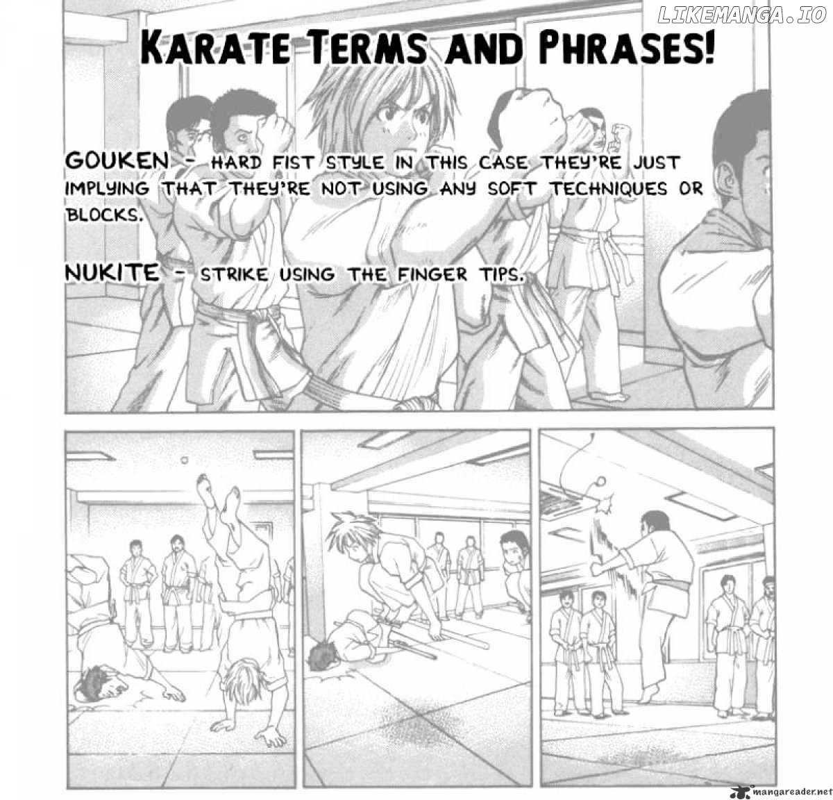 Karate Shoukoushi Kohinata Minoru Chapter 46 - page 1