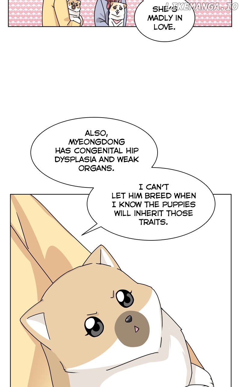 The Dog Diaries Chapter 143 - page 47