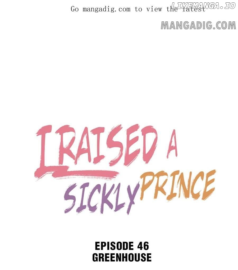 I Raised A Sick And Weak Prince Chapter 46 - page 1