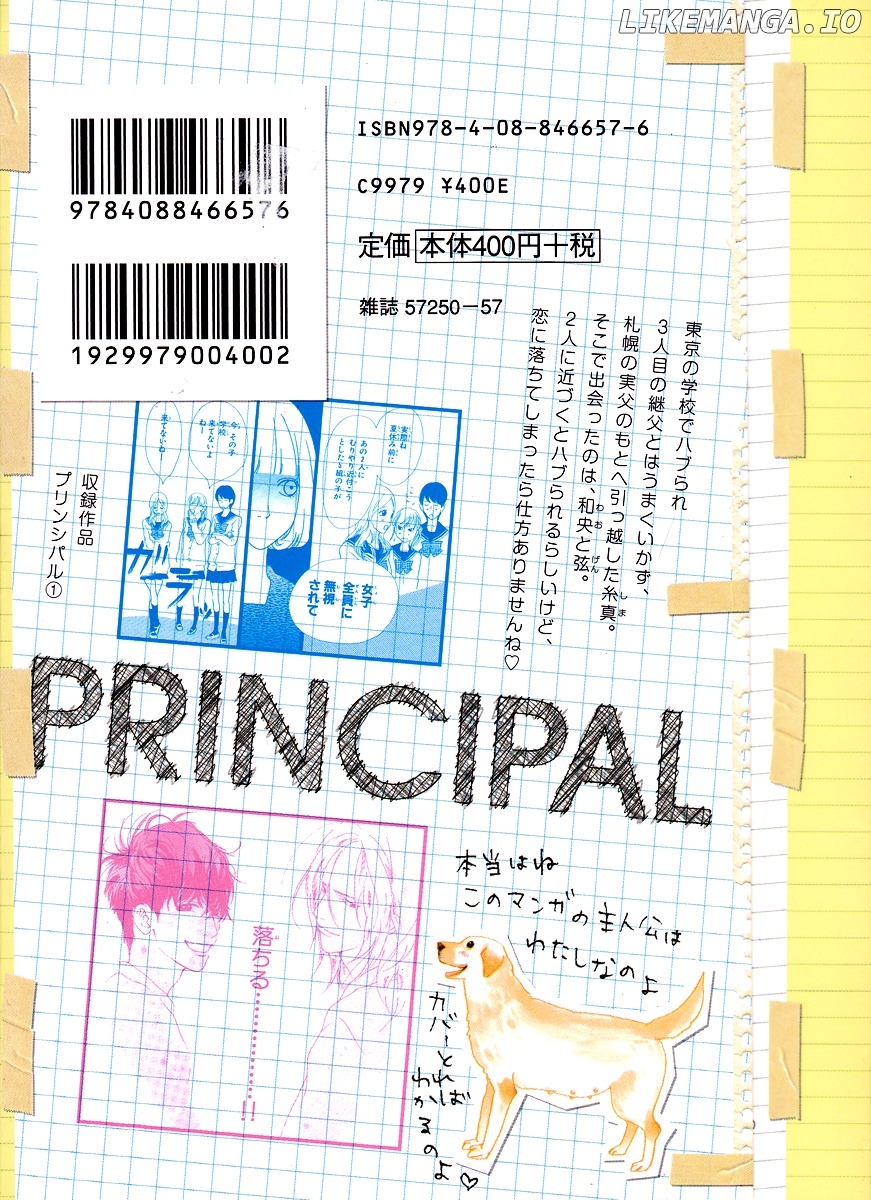 Principal chapter 1 - page 3