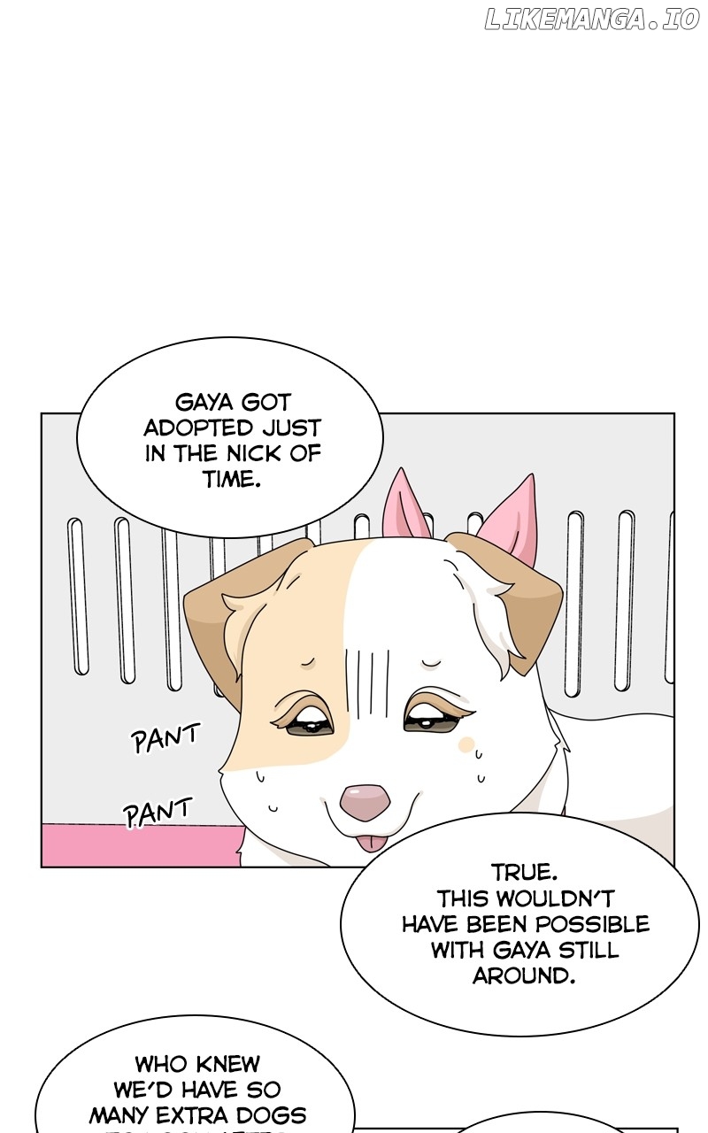 The Dog Diaries Chapter 144 - page 4