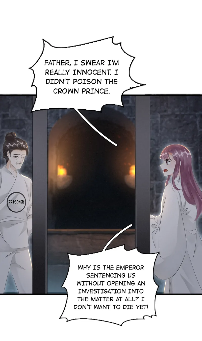 The Phoenix Consort Dominates the World Chapter 39 - page 6