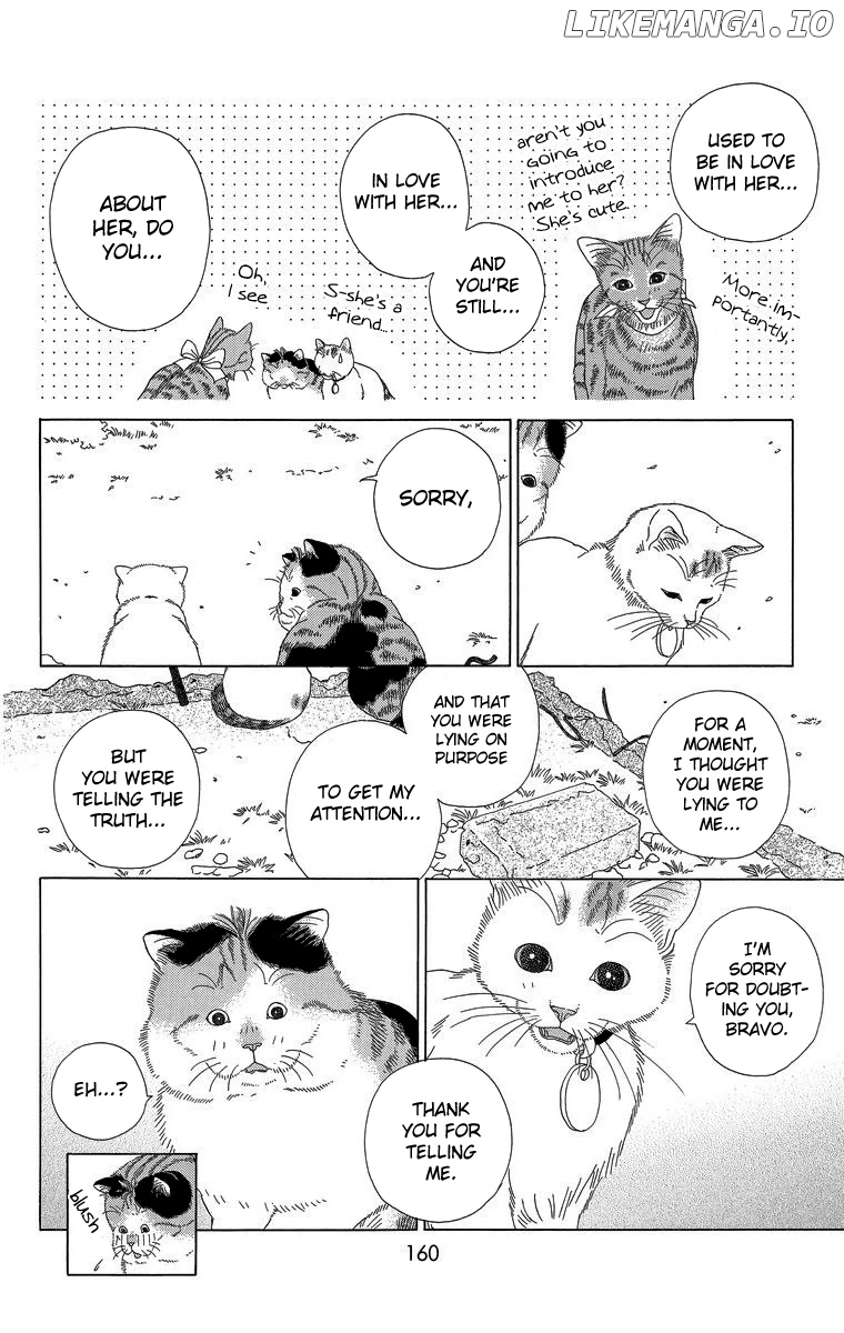 Zoccha No Nichijou chapter 22 - page 10