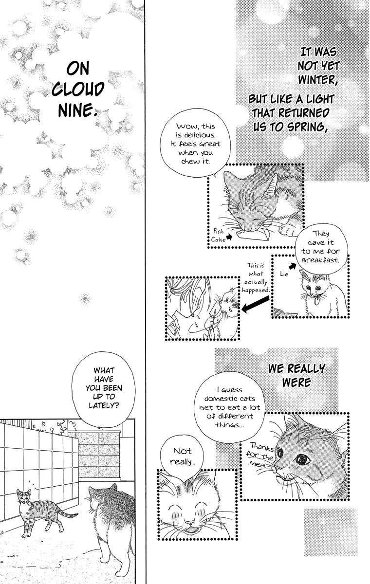 Zoccha No Nichijou chapter 20 - page 17