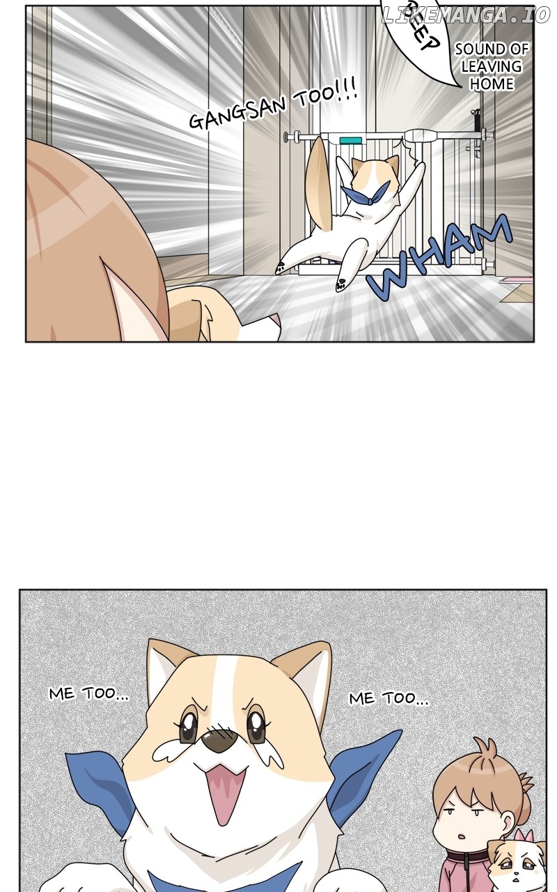 The Dog Diaries Chapter 148 - page 38