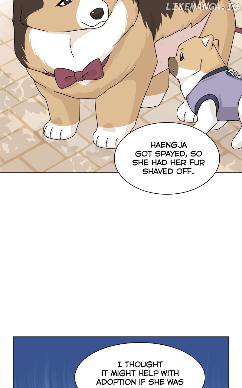 The Dog Diaries Chapter 148 - page 46