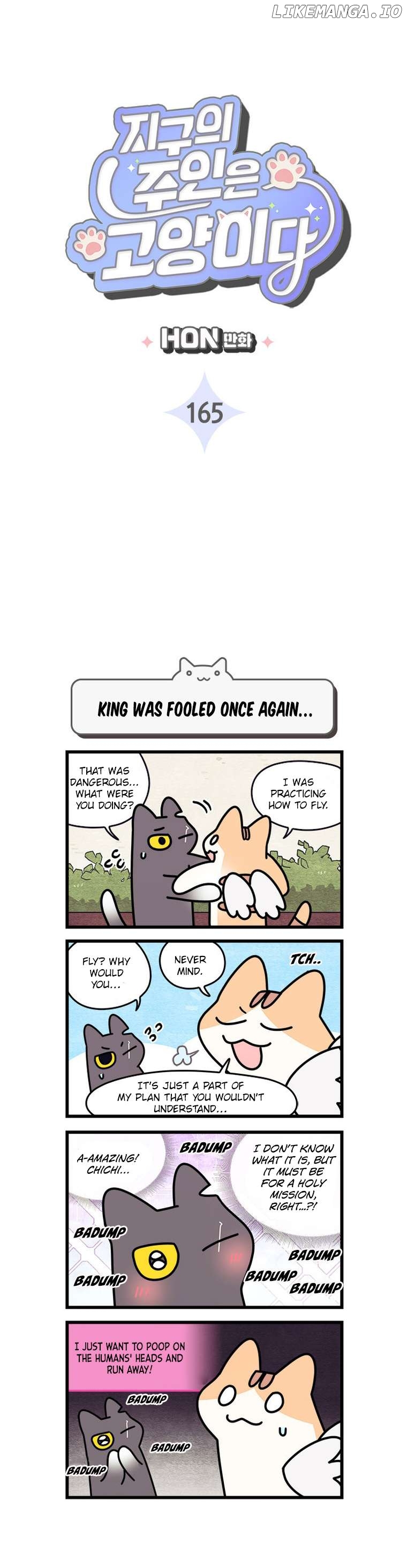 Cats Own The World Chapter 165 - page 3