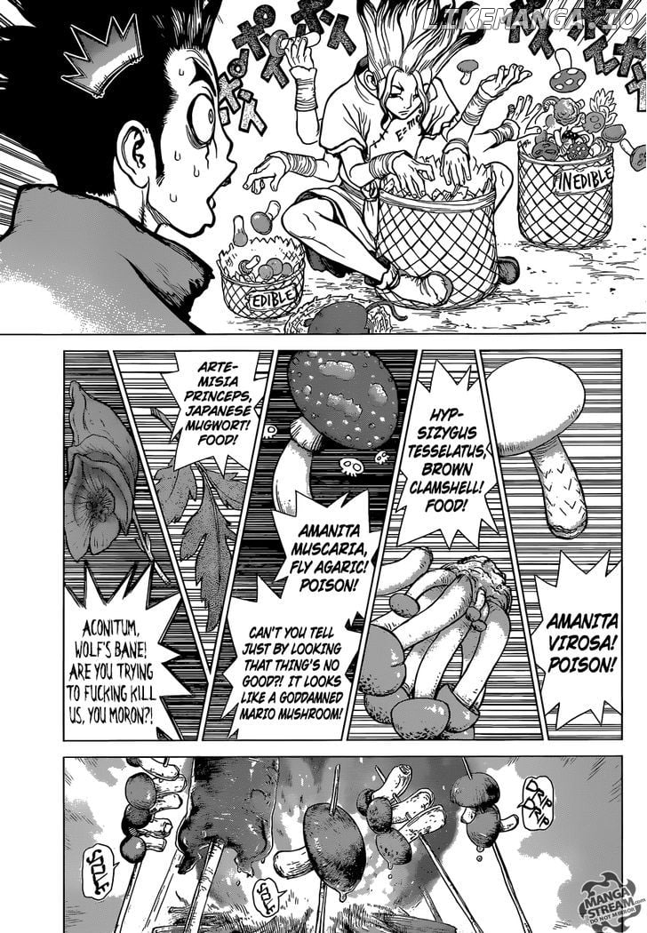 Dr. Stone chapter 2 - page 4