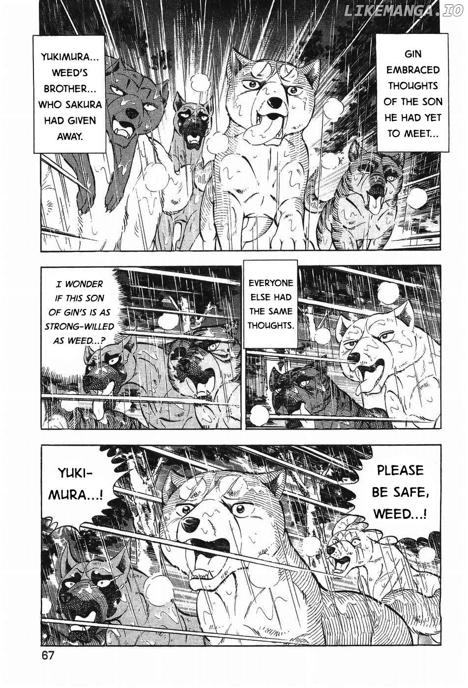 Ginga Densetsu Weed Chapter 294 - page 9