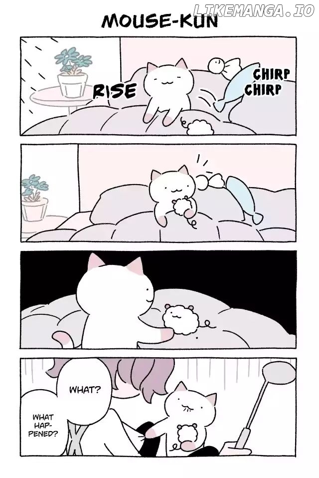 Fushigi Neko no Kyuu-chan chapter 205 - page 1