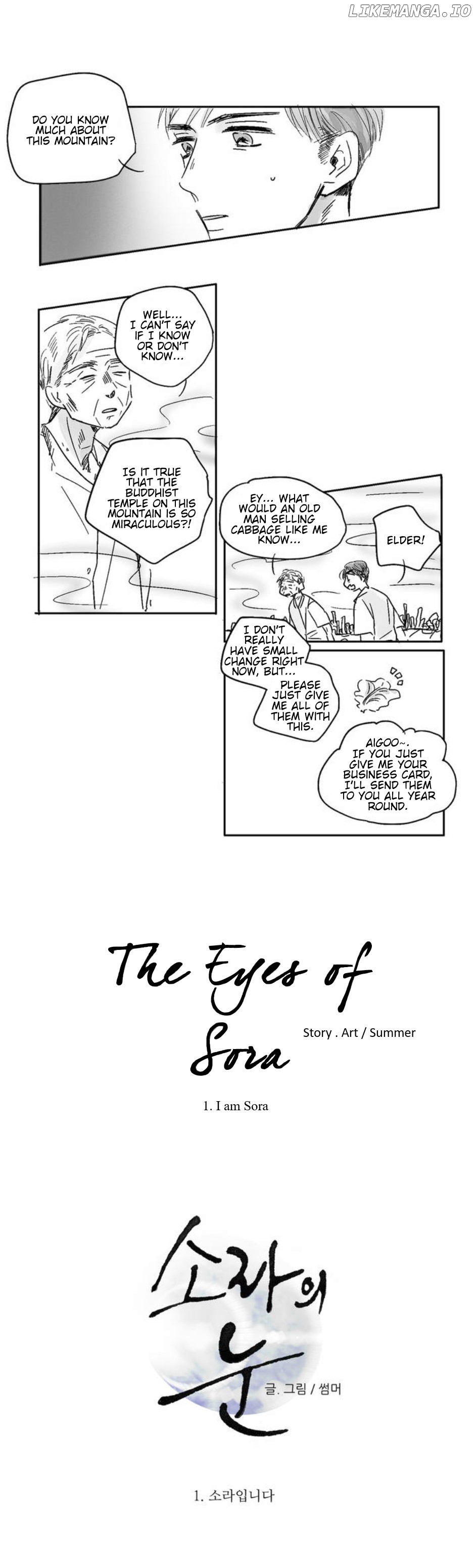 The Eyes Of Sora chapter 1 - page 2