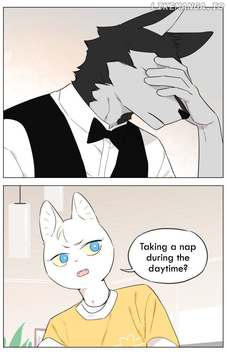 Wolf Butler And His Cat Master chapter 12 - page 6