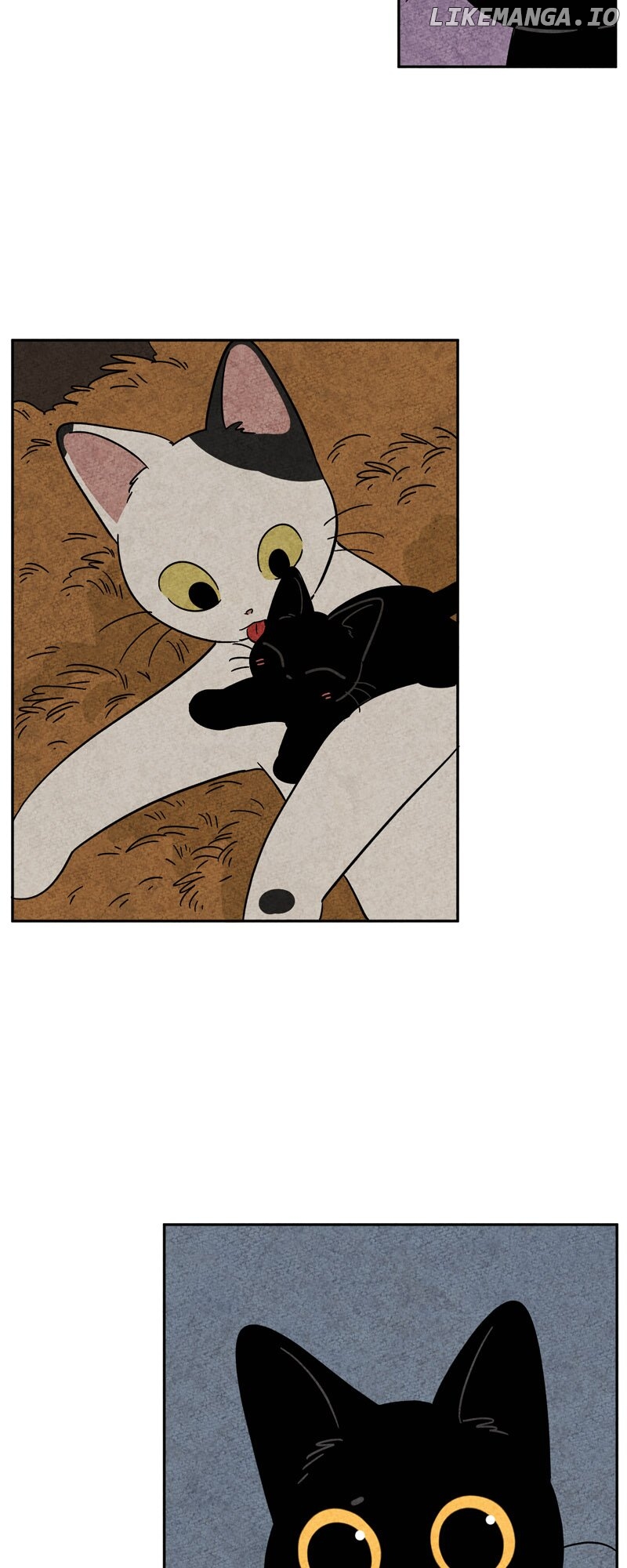 The Tale Of Goldiluck, The Black Kitten Chapter 80 - page 24