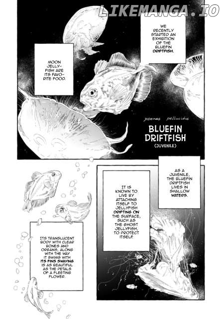 Deep Sea Aquarium Magmell Chapter 48 - page 19