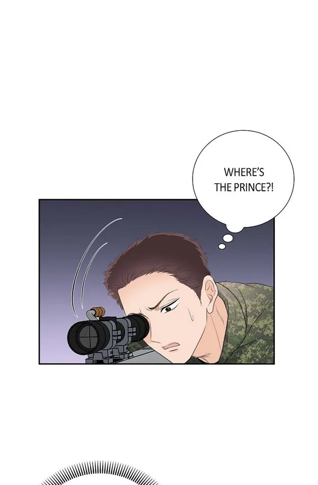 Crown Prince’s Marriage Proposal Chapter 52 - page 47