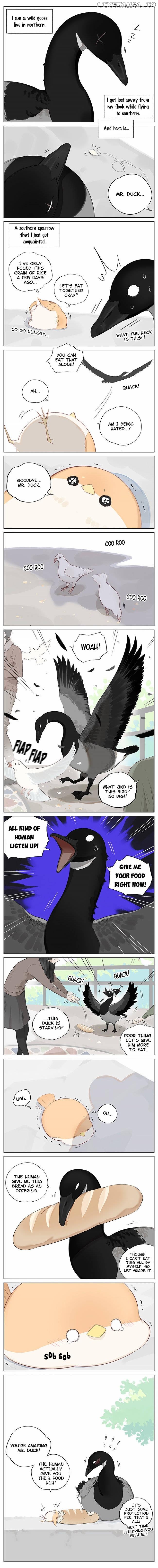 Southern Bird And Northern Bird chapter 2 - page 1