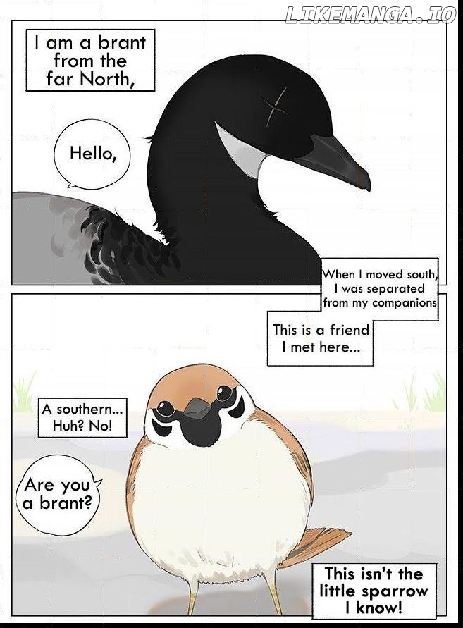 Southern Bird And Northern Bird chapter 9 - page 1