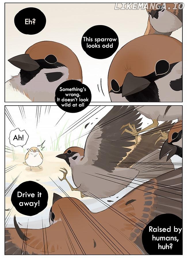 Southern Bird And Northern Bird chapter 9 - page 4