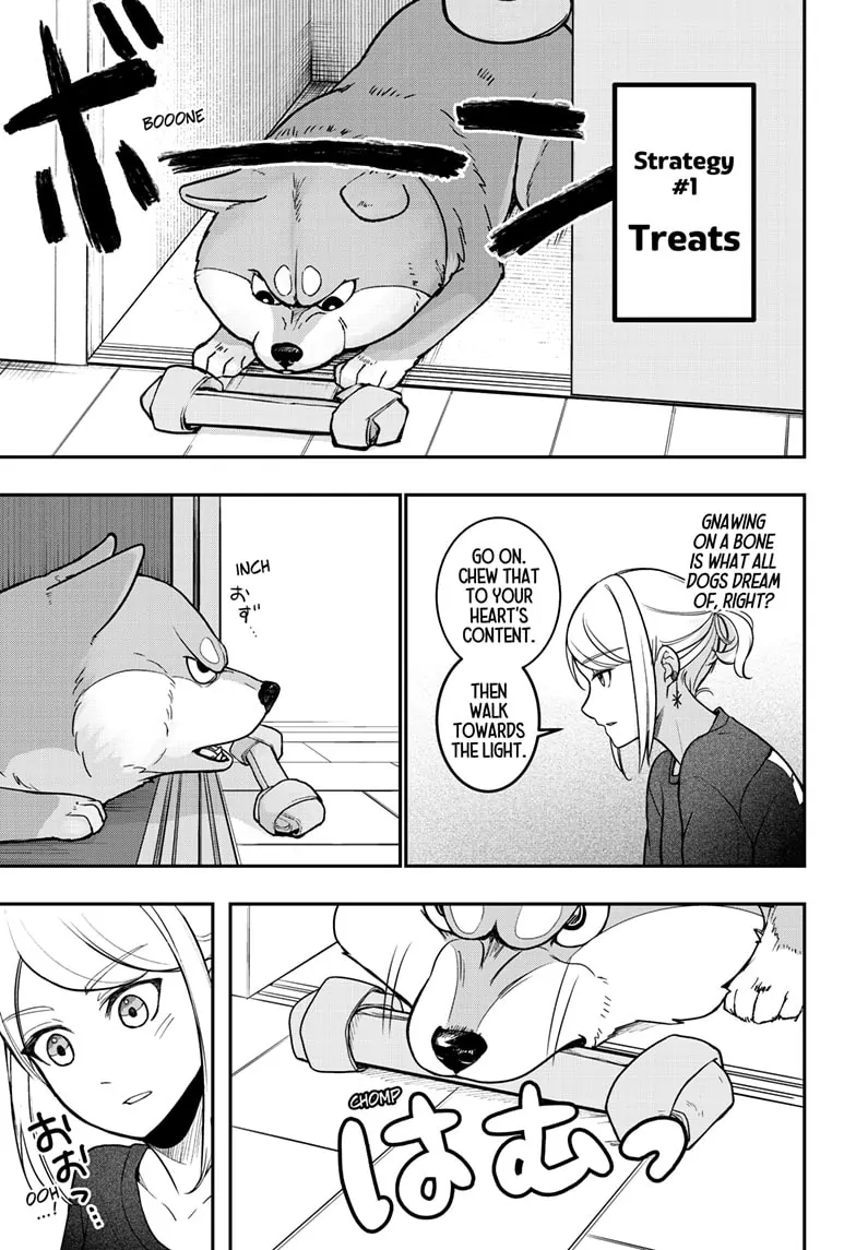 Shiba Inu Rooms Chapter 1 - page 32