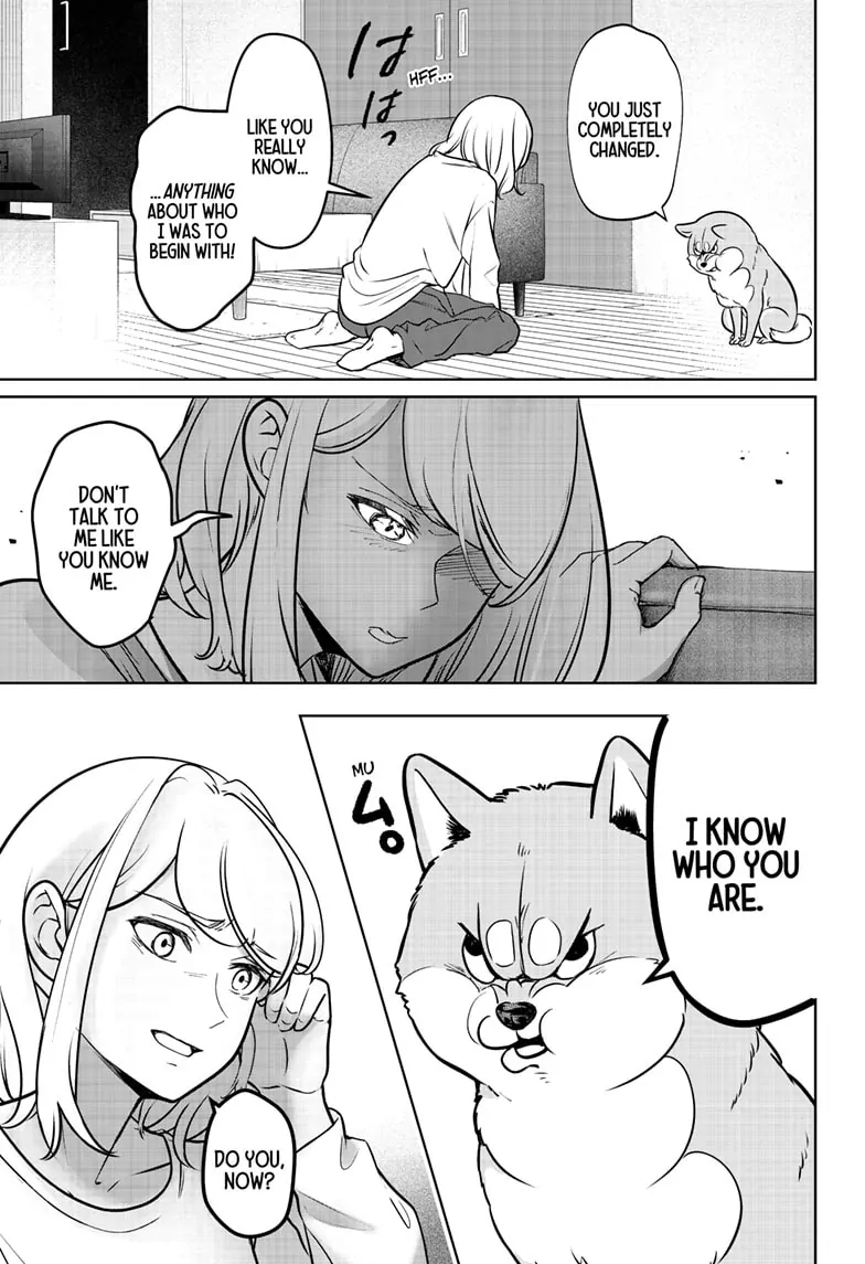 Shiba Inu Rooms Chapter 3 - page 24