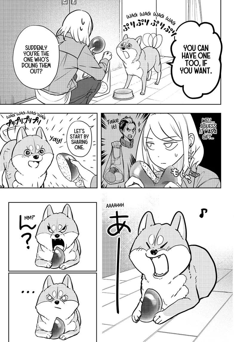 Shiba Inu Rooms Chapter 4 - page 13