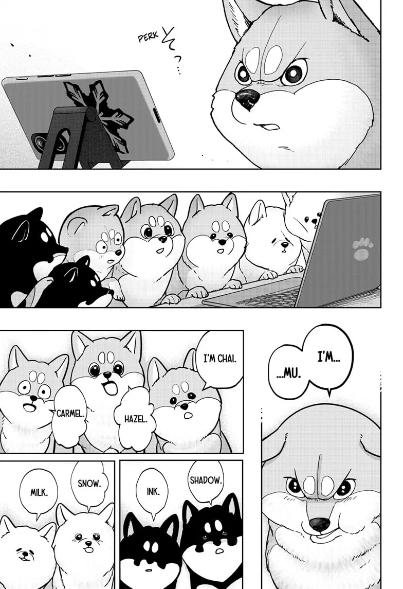 Shiba Inu Rooms Chapter 6 - page 17