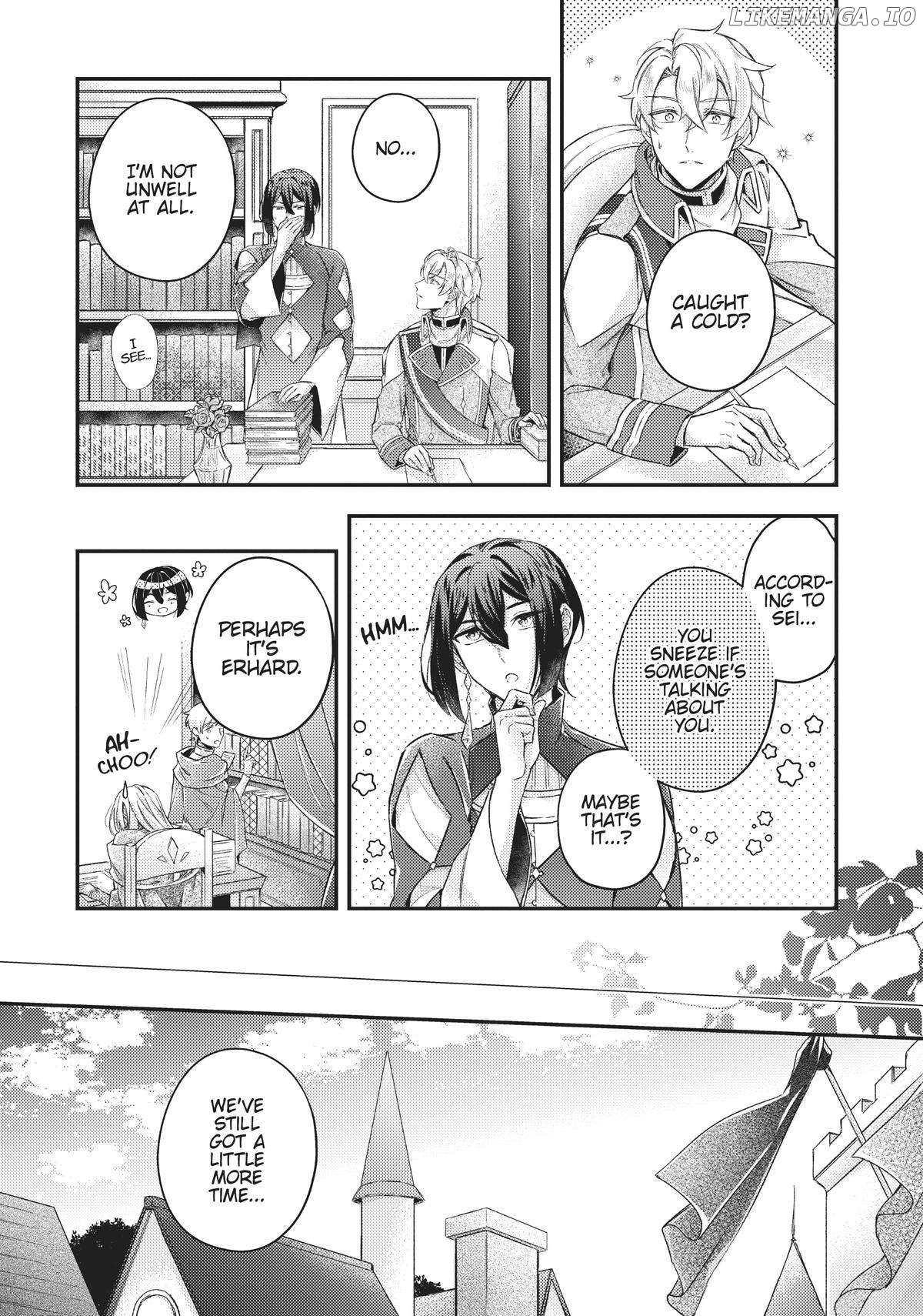 Seijo no Maryoku wa Bannou desu ~Mouhitori no Seijo~ Chapter 13 - page 22