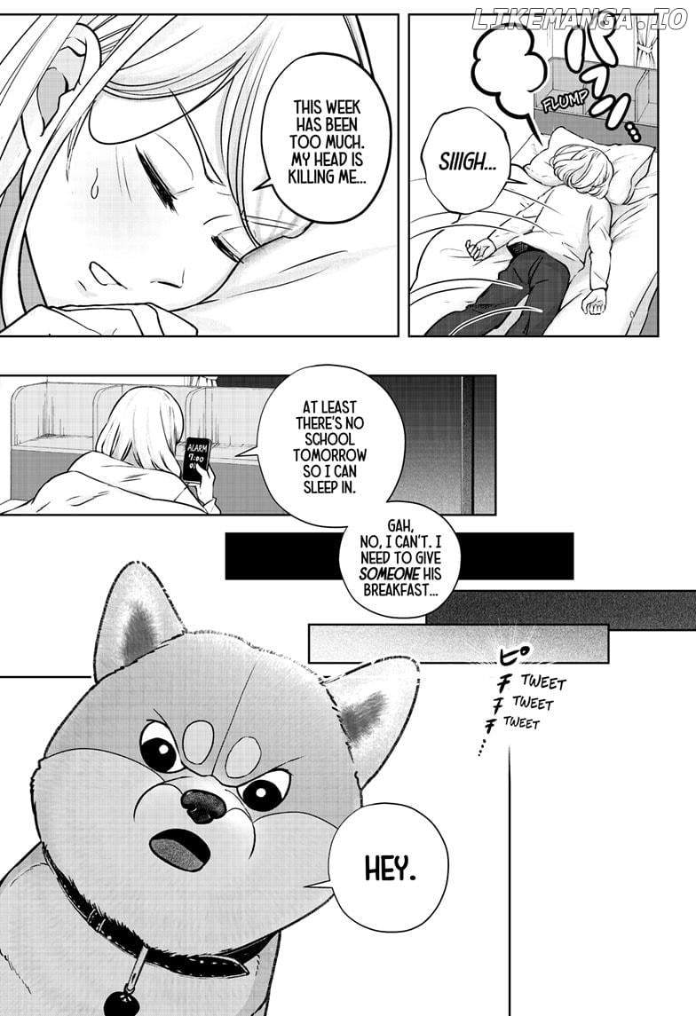 Shiba Inu Rooms Chapter 11 - page 3