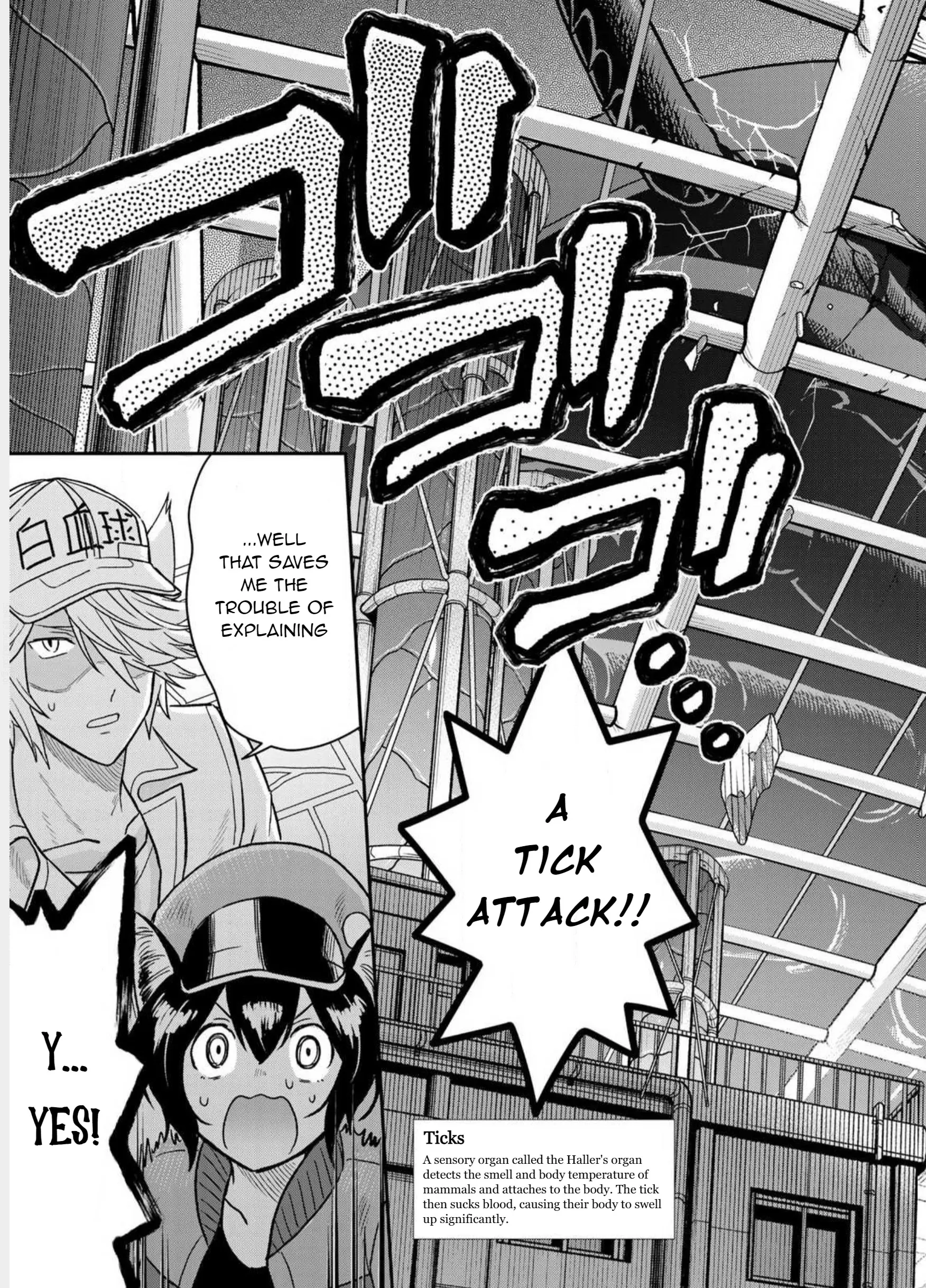 Cells at Work! Cat Chapter 1 - page 23