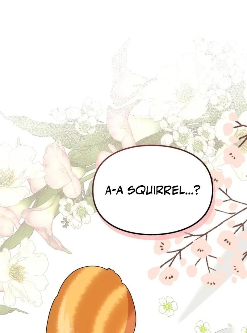 I Became A Squirrel Seeking For The Villain Chapter 12 - page 21