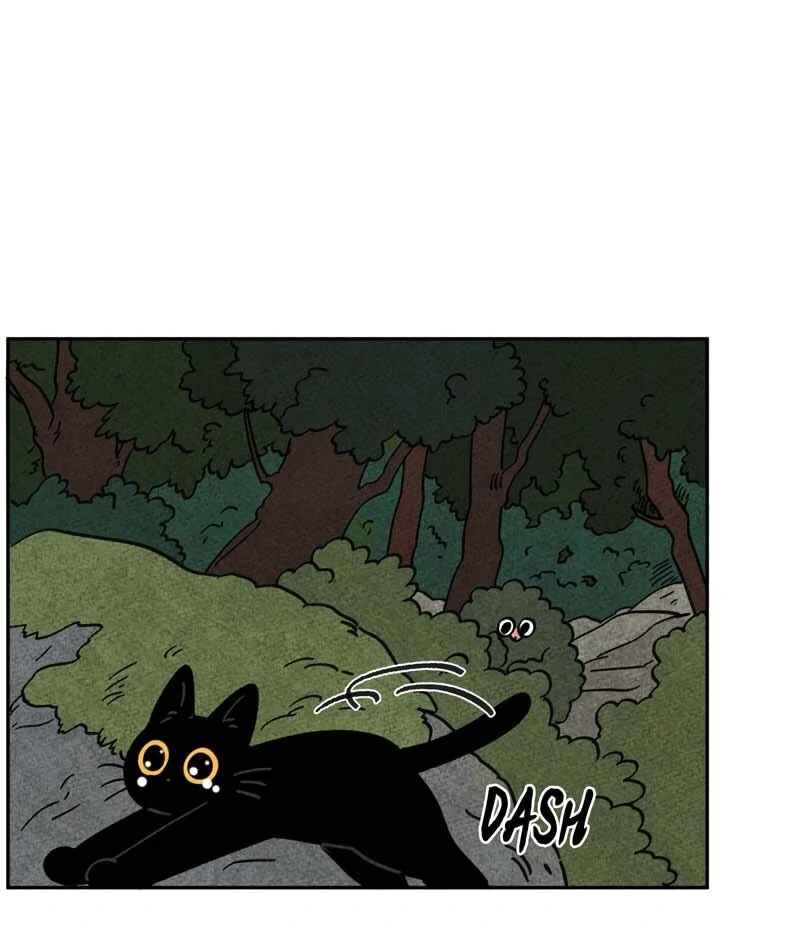 The Tale Of Goldiluck, The Black Kitten Chapter 100 - page 16