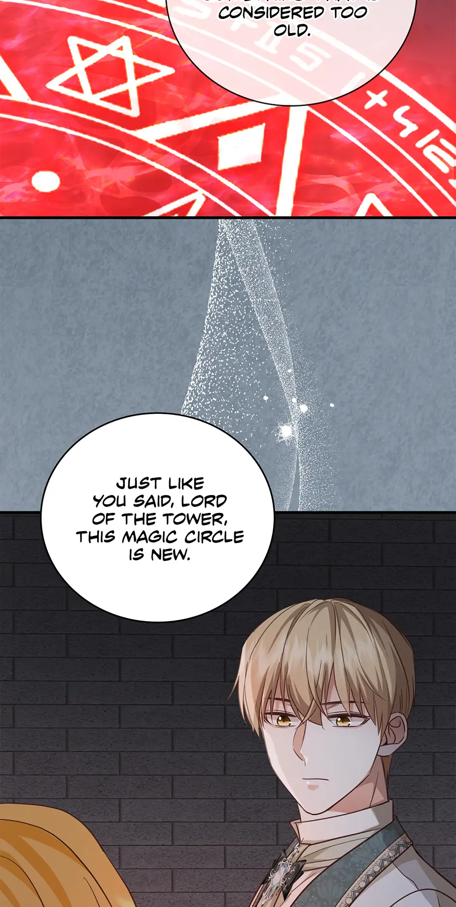 You Are Obsessing Over the Wrong Person, Lord of the Tower! Chapter 60 - page 25