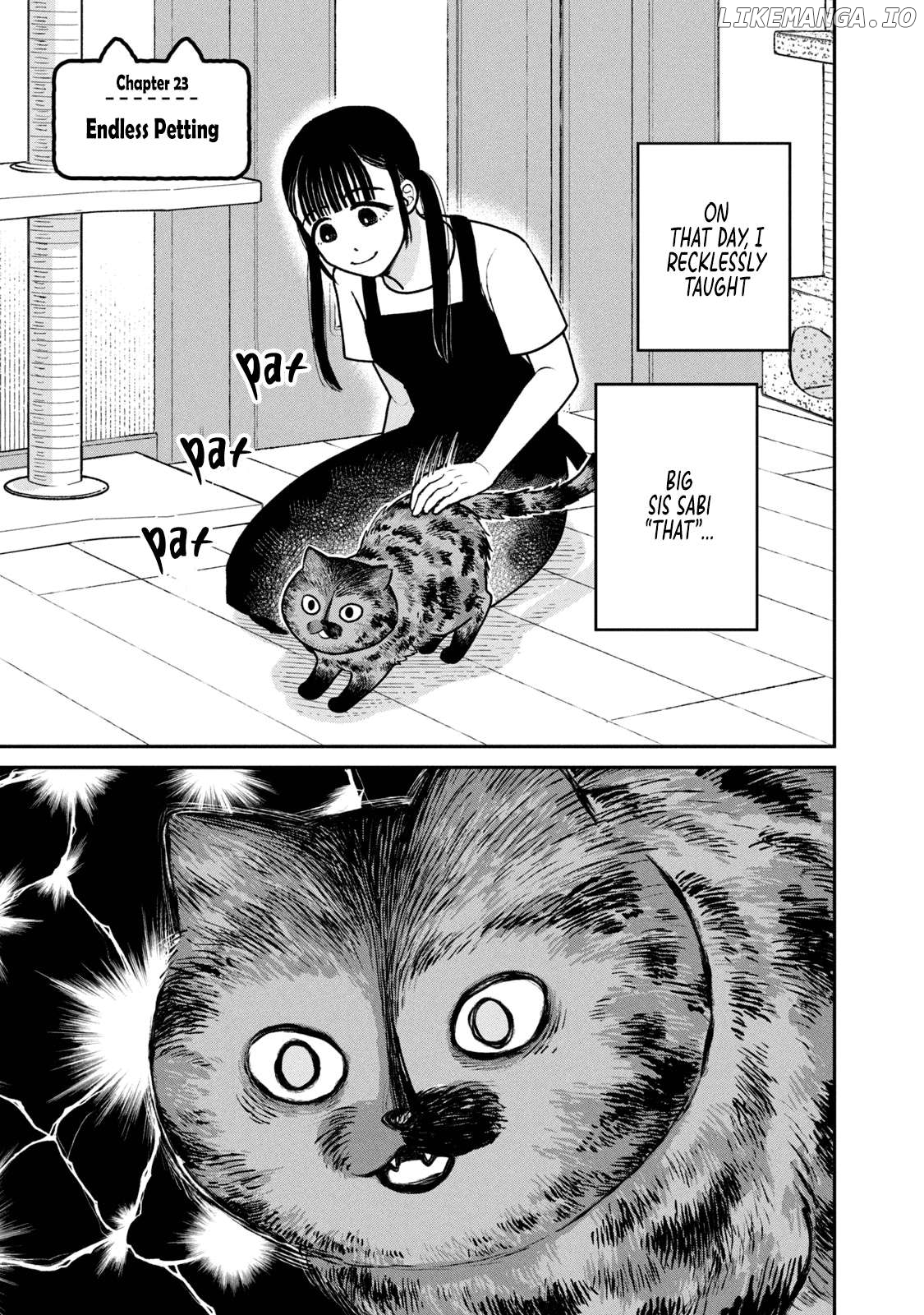 Cat Partners: Maruru And Hachi Chapter 23 - page 1