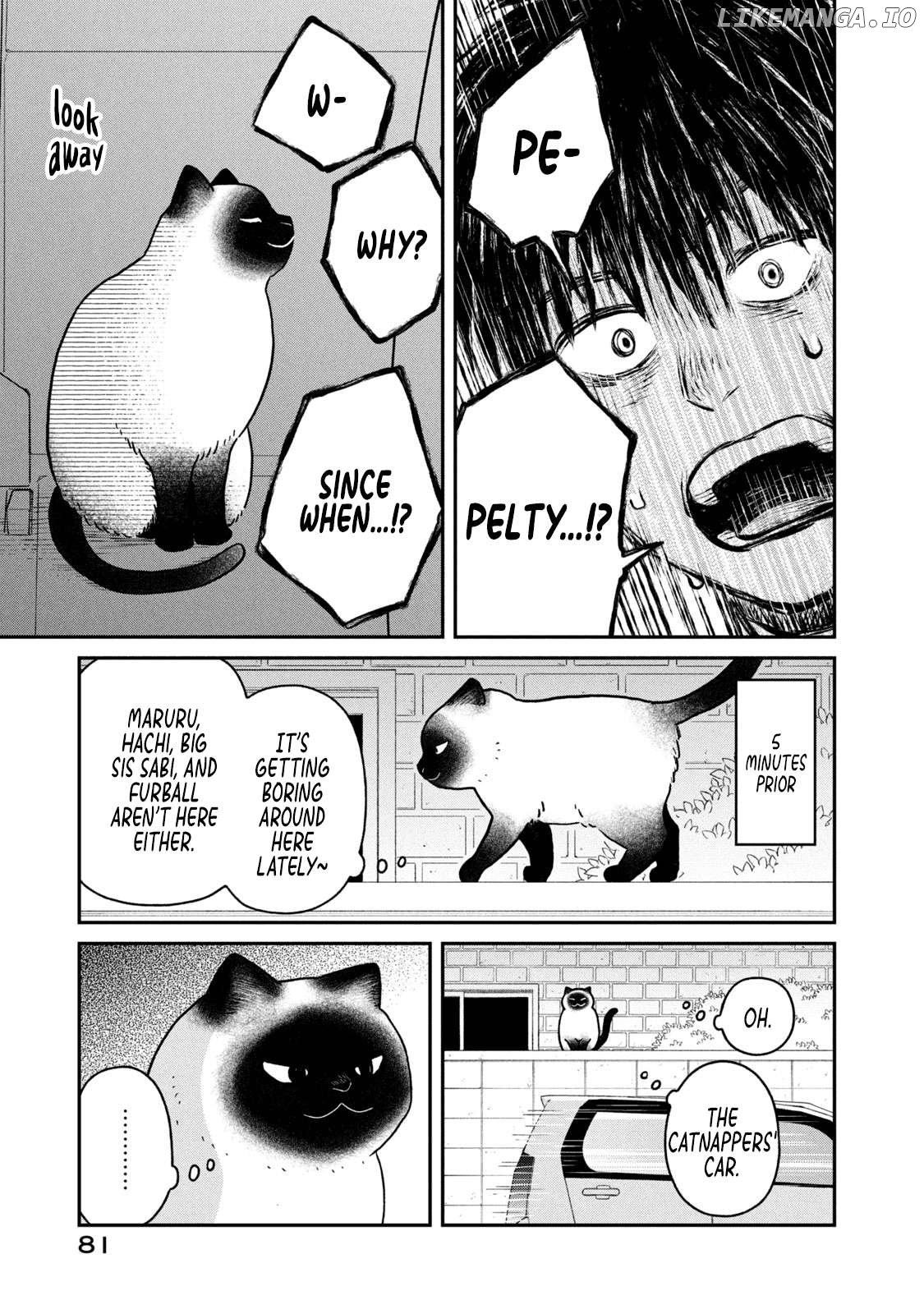 Cat Partners: Maruru And Hachi Chapter 23 - page 11