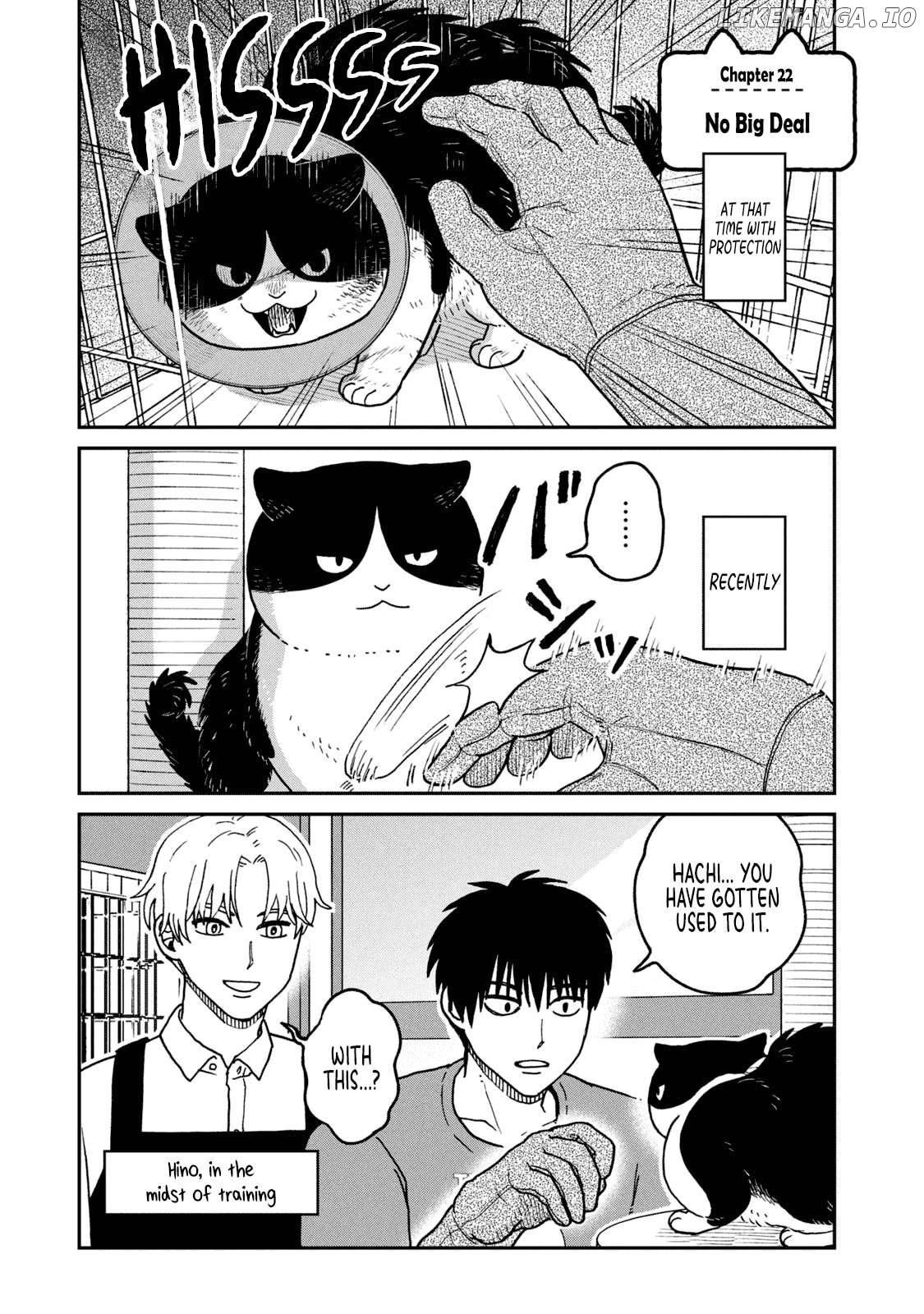 Cat Partners: Maruru And Hachi Chapter 22 - page 1