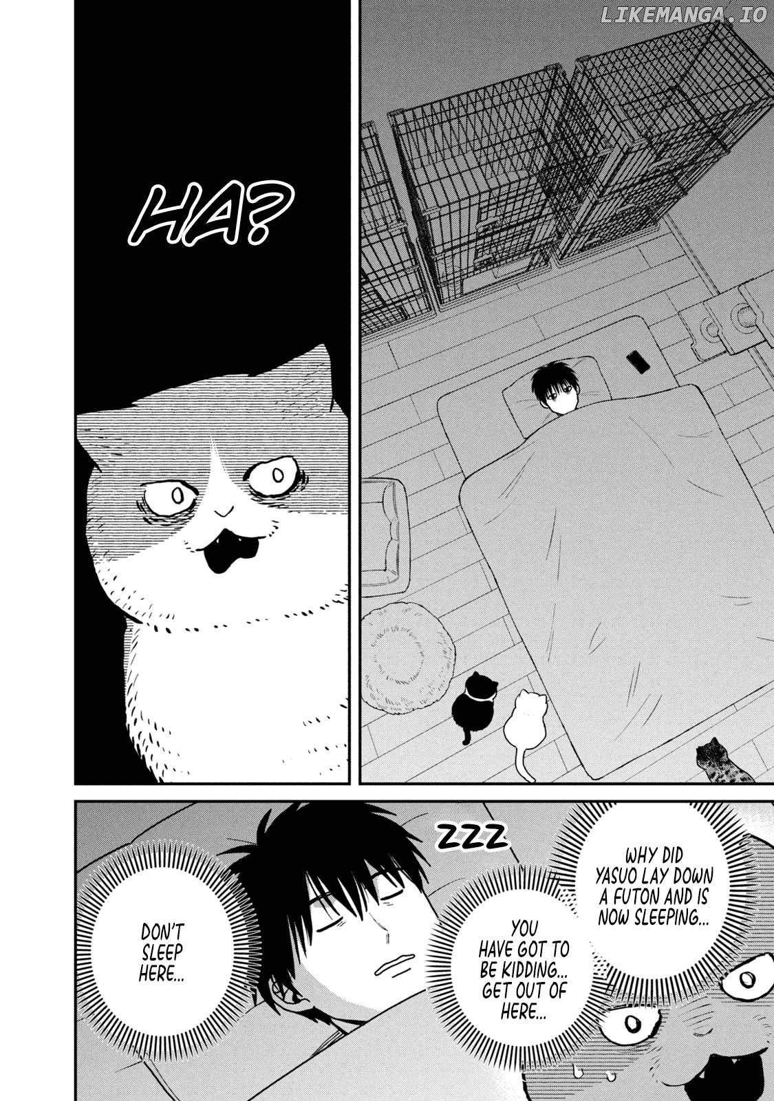 Cat Partners: Maruru And Hachi Chapter 22 - page 6