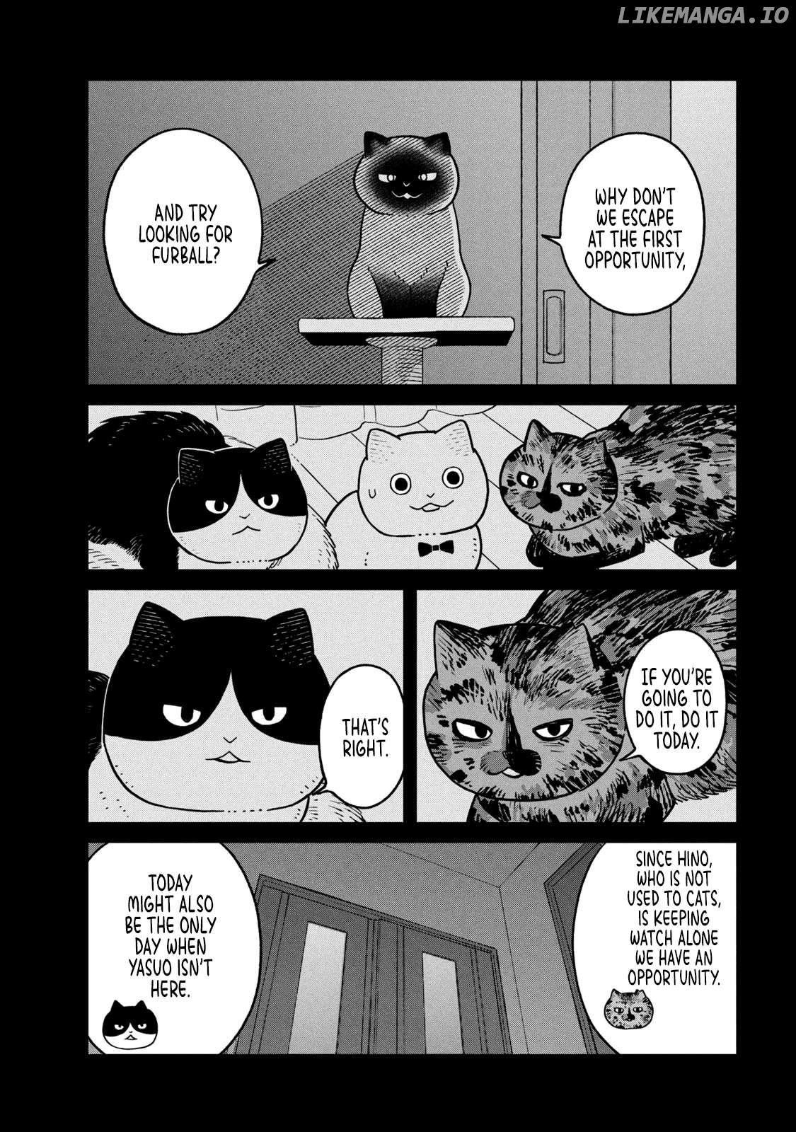 Cat Partners: Maruru And Hachi Chapter 27 - page 10